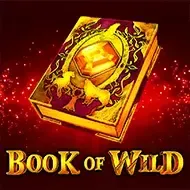 Book of Wild1spin4win